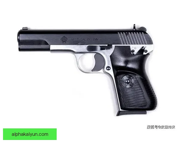 德佩风格分析：比赛数据揭示其技术特点与战术适应性